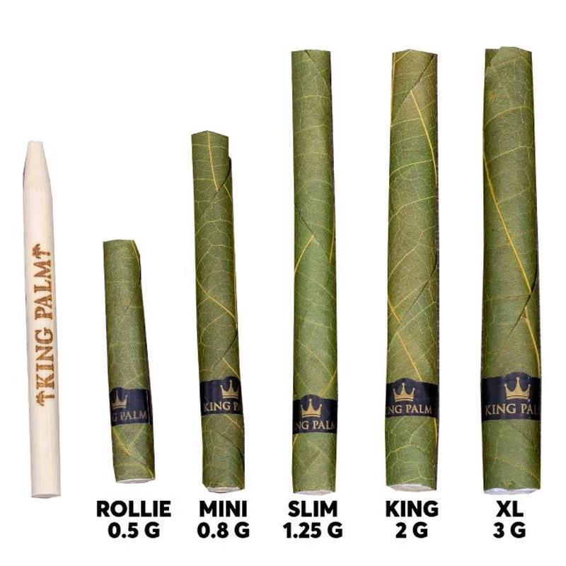 King Palm - King (5-Pack) - Image 7