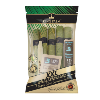 King Palm - XXL (5-Pack) (*)