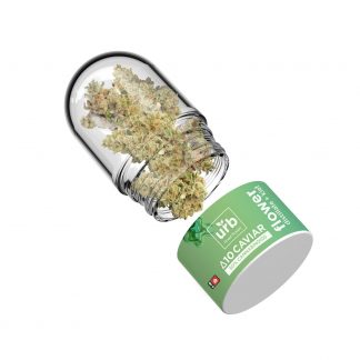 URB Delta 10 THC Caviar Flower - Mint Cookies (Indica)