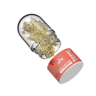 URB Delta 10 THC Caviar Flower - Guava Kush (Sativa)