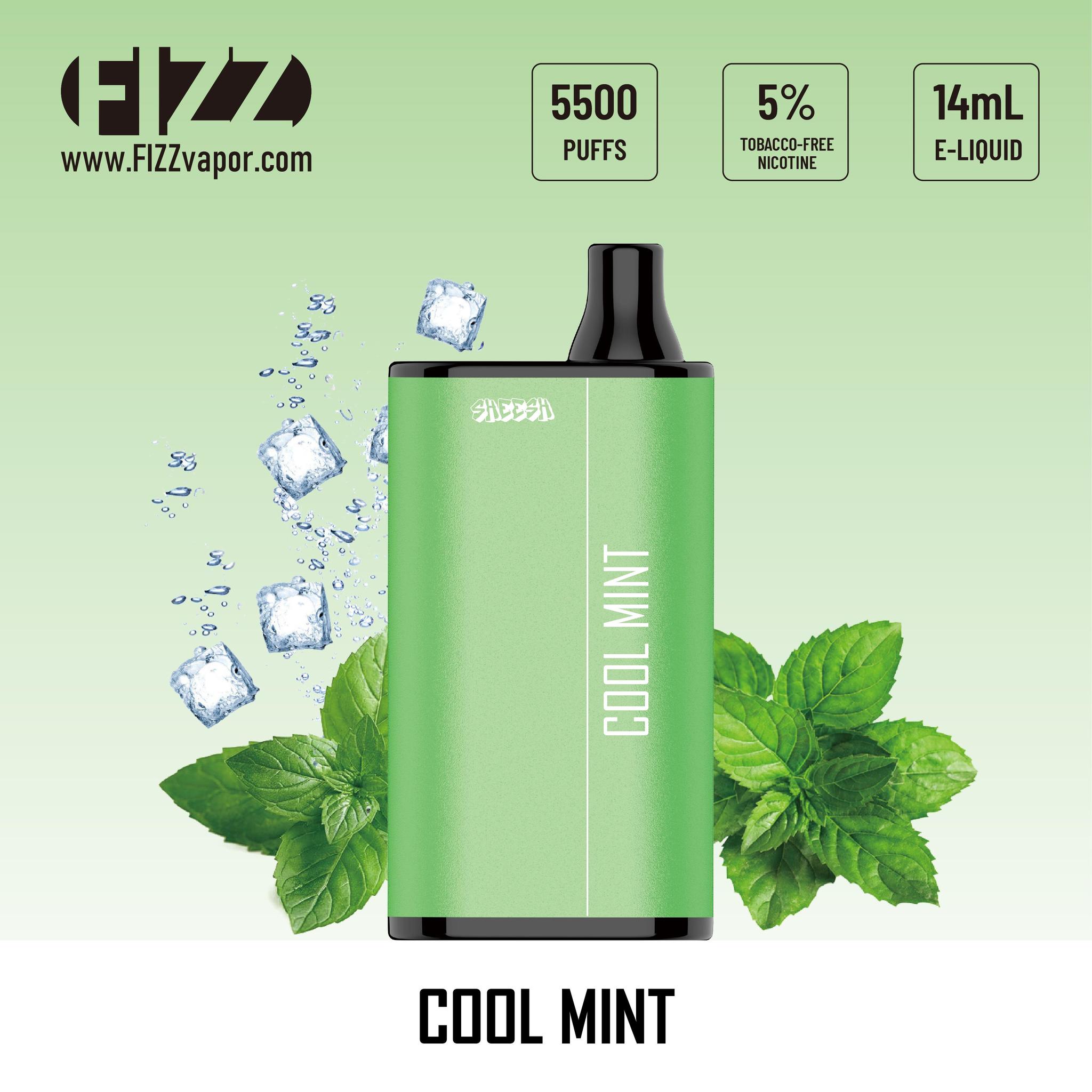 FIZZ Sheesh  Cool Mint  KLOWDZ Vapor & Smokeshop