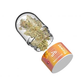 URB THC-O Caviar Flower - Twisted Girlscout 7g