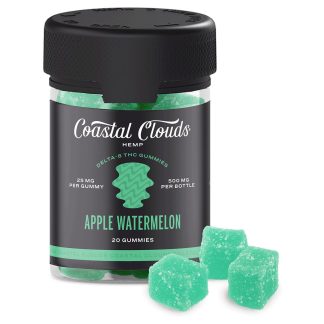 Coastal Clouds Hemp Gummies - Apple Watermelon (20 Count Delta 8)