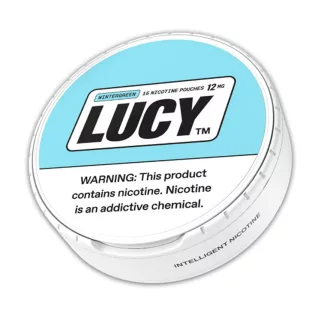 Lucy Pouches -Wintergreen 12mg