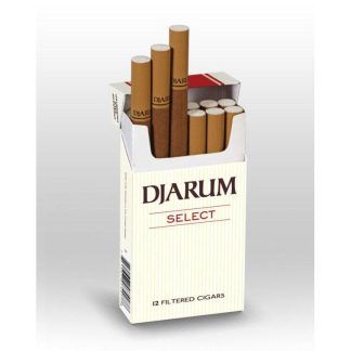Djarum - Select (12 Filtered Cigars)