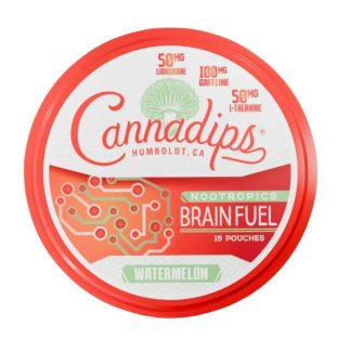 Cannadips Brain Fuel - Watermelon (15 Pouches)