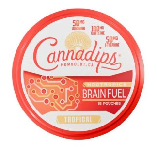 Cannadips Brain Fuel - Tropical (15 Pouches)